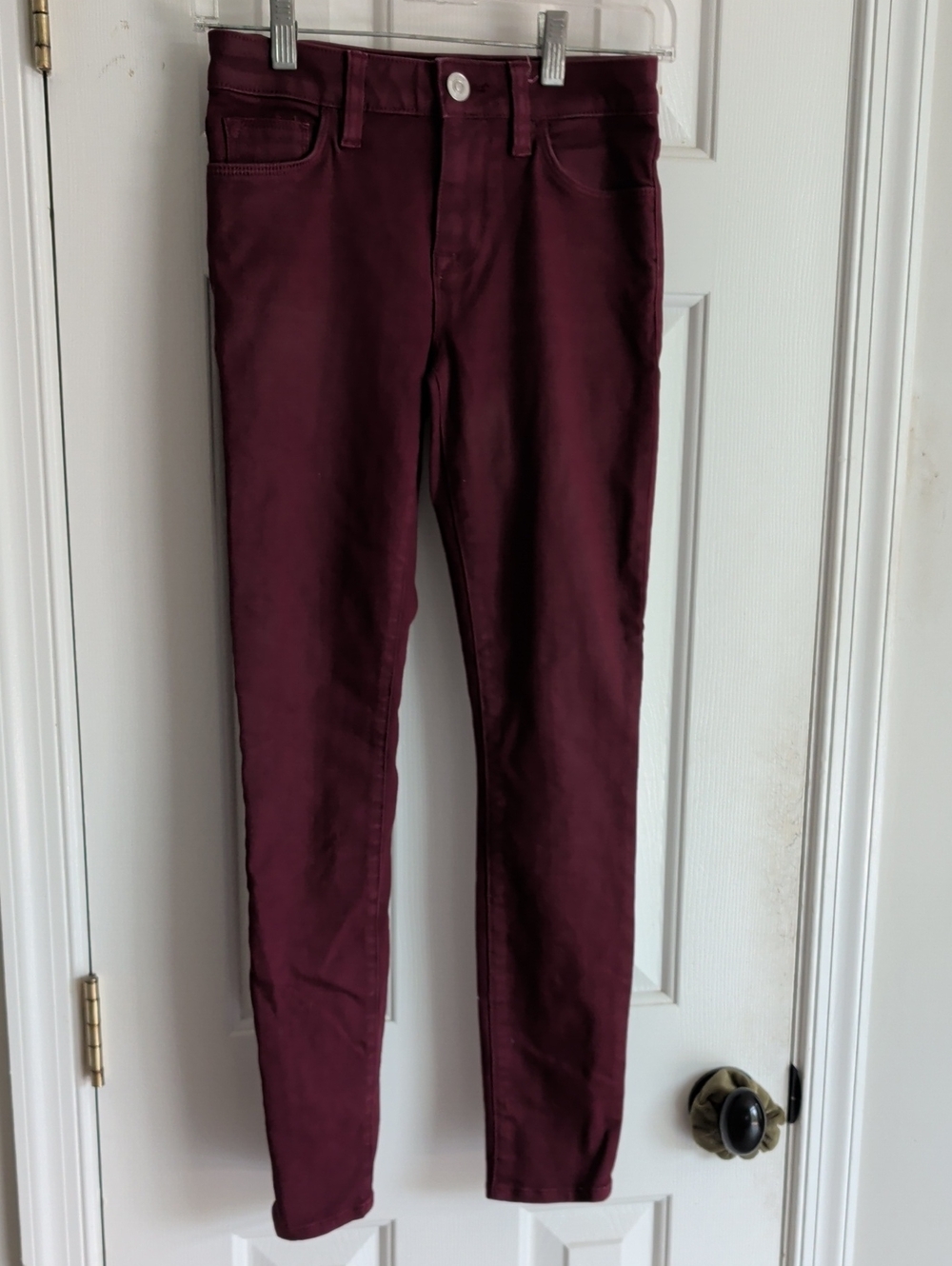 Hudson Jeans Skinny Pants in Wine